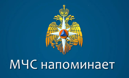 МЧС напоминает о соблюдении правил безопасности на пикнике