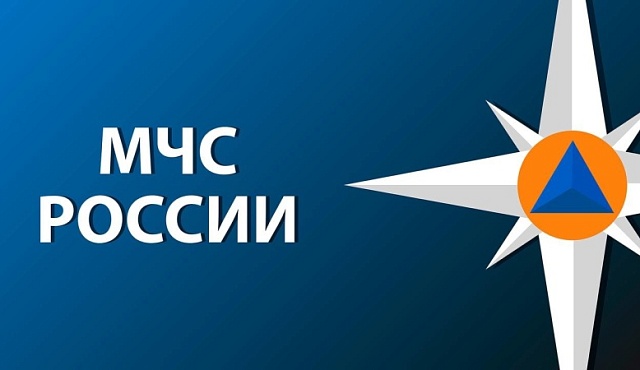 98% многодетных семей в Московской области обратились за единым пособием дистанционно